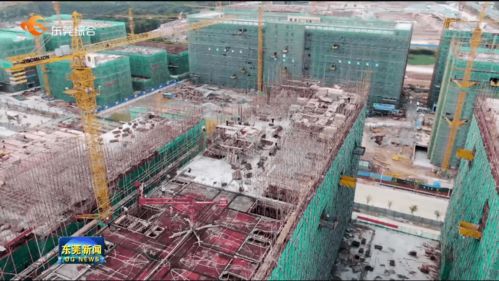 我市提前完成年度重大项目开工任务，累计新开工142个