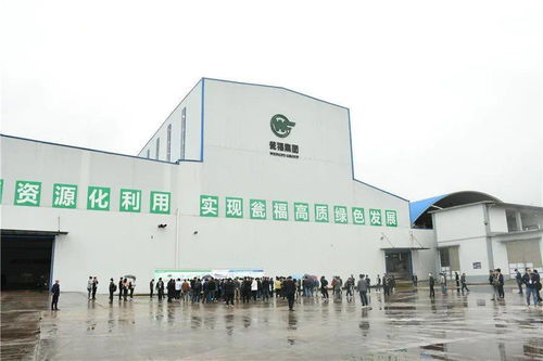 石膏新纪元 走进优质石膏工厂，见证机械化施工的力量